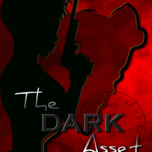 The Dark Asset